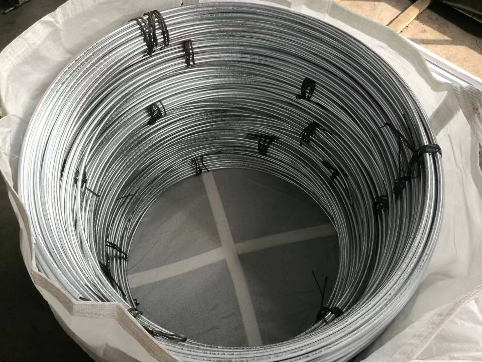 1710921310121128.jpg 1710921260729833.jpg